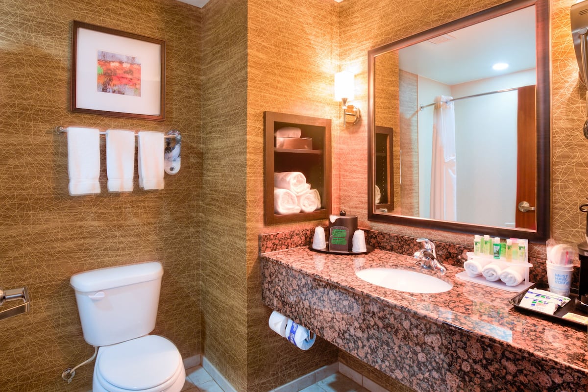 free toiletries, hair dryer, towels