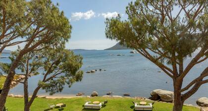 Casa Santini x Roc Seven