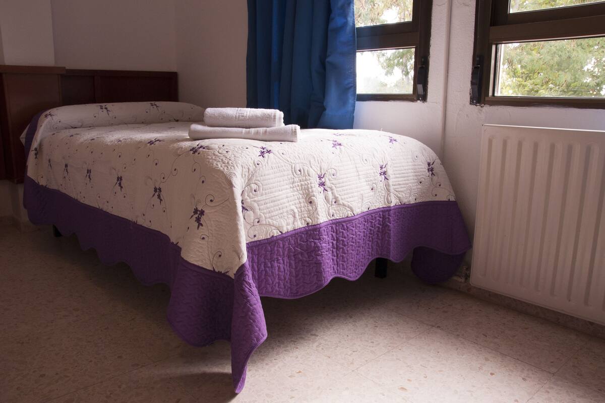 Chambre simple | 1 chambre, décoration personnalisée, bureau, rideaux occultants
