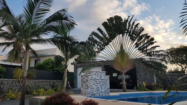 A pool area with palm trees and a stone wall. - Tibambari (Le Bouchon)