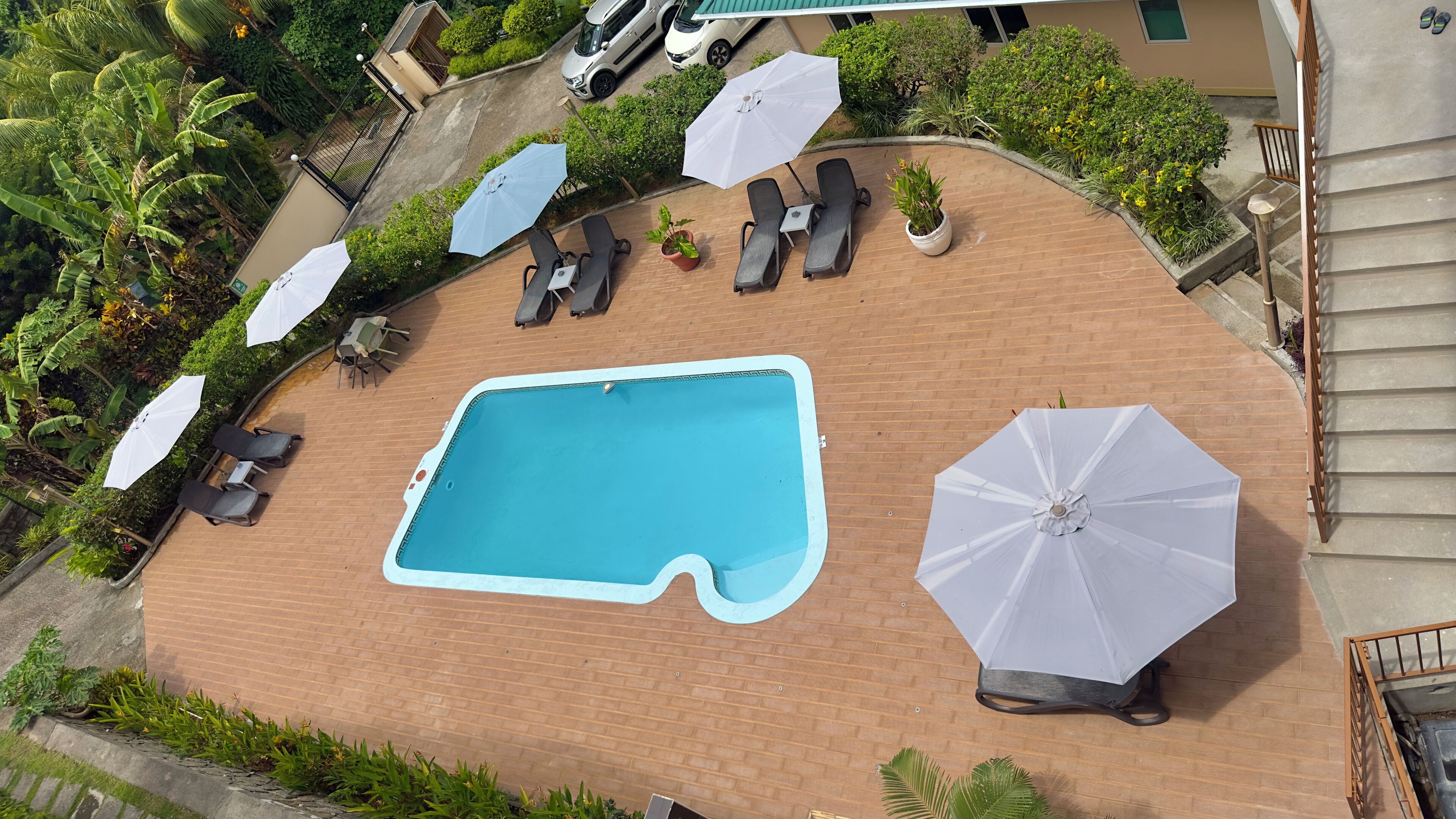 Vue aérienne d’un espace piscine avec des chaises longues et des parasols, entouré de verdure et d’un mur de briques.
