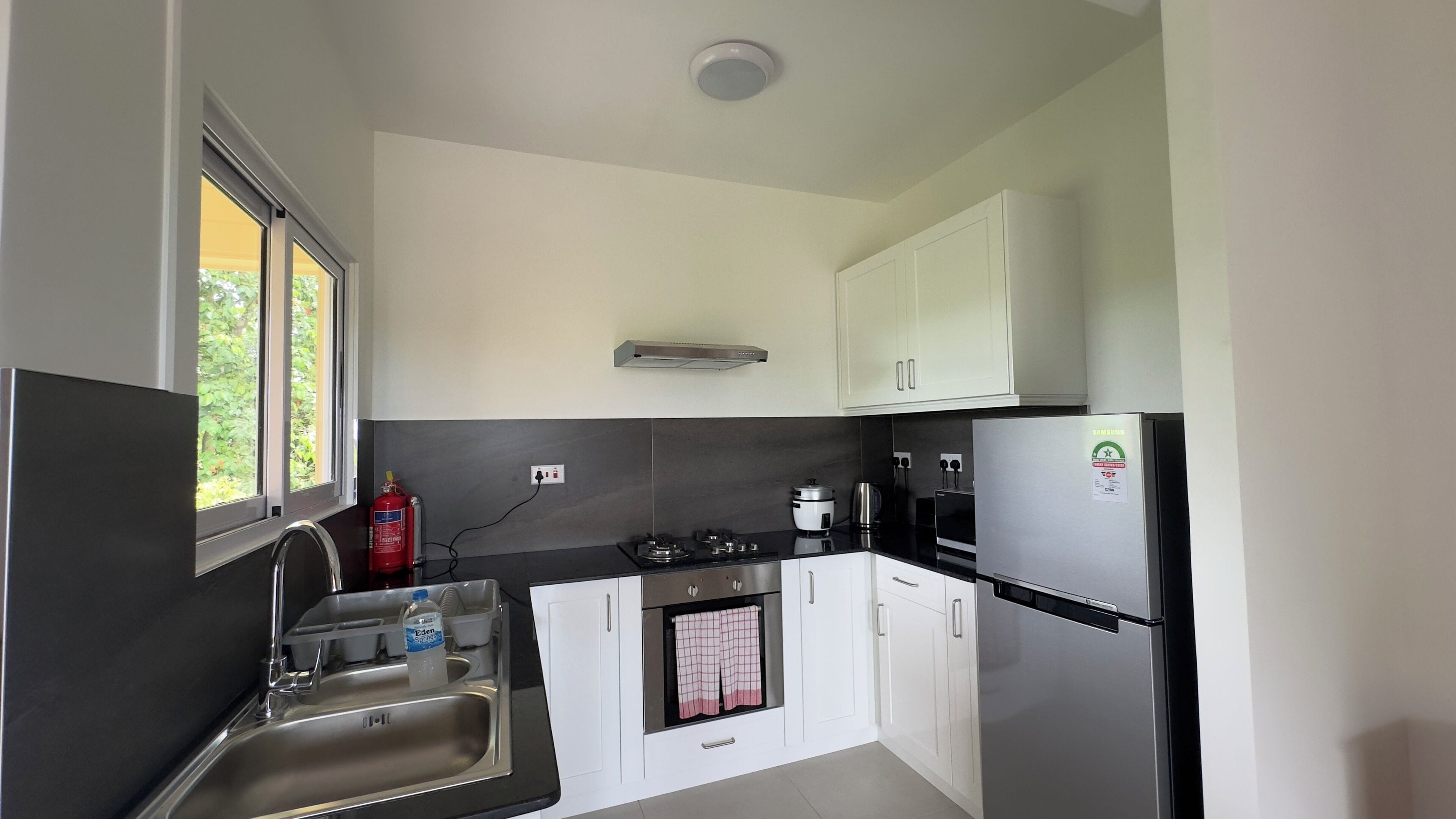 apartment, pool view | private kitchen | full-sized fridge, microwave, oven, stovetop