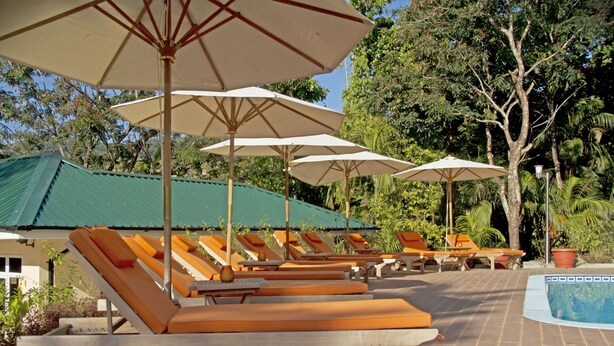 Un espace aménagé au bord de la piscine, avec des chaises longues et des parasols.
