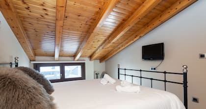 APARTAMENTOS VAQUERS MIKKA 3000