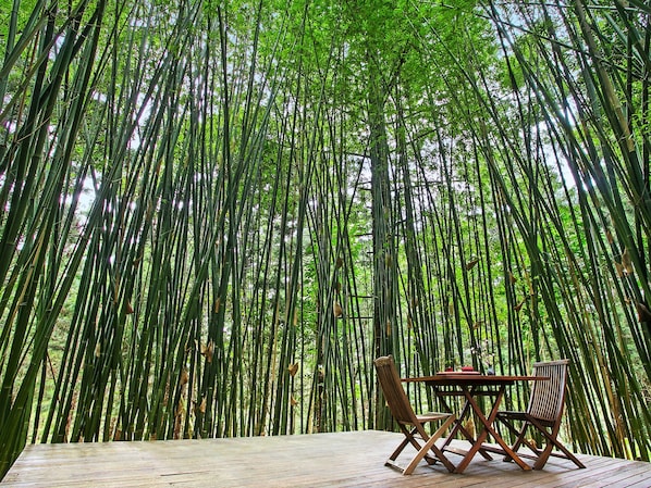 A wooden deck with a table and chairs surrounded by tall bamboo trees.