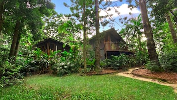 Jardim