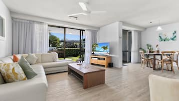 Televisión de pantalla plana, reproductor de DVD