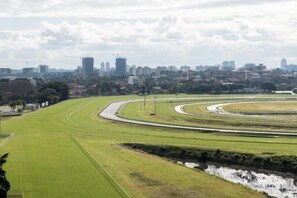 Vista desde la propiedad