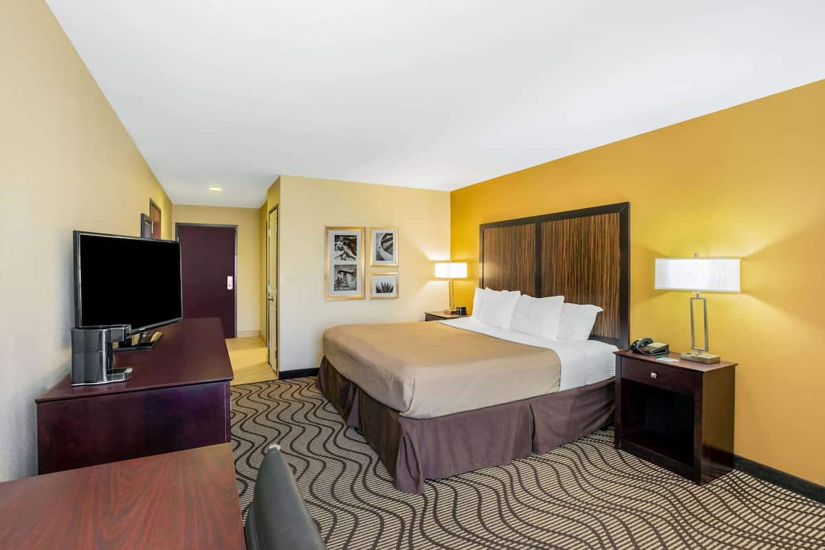 A hotel room with a bed, a desk with a television, two bedside lamps, and a patterned carpet.
