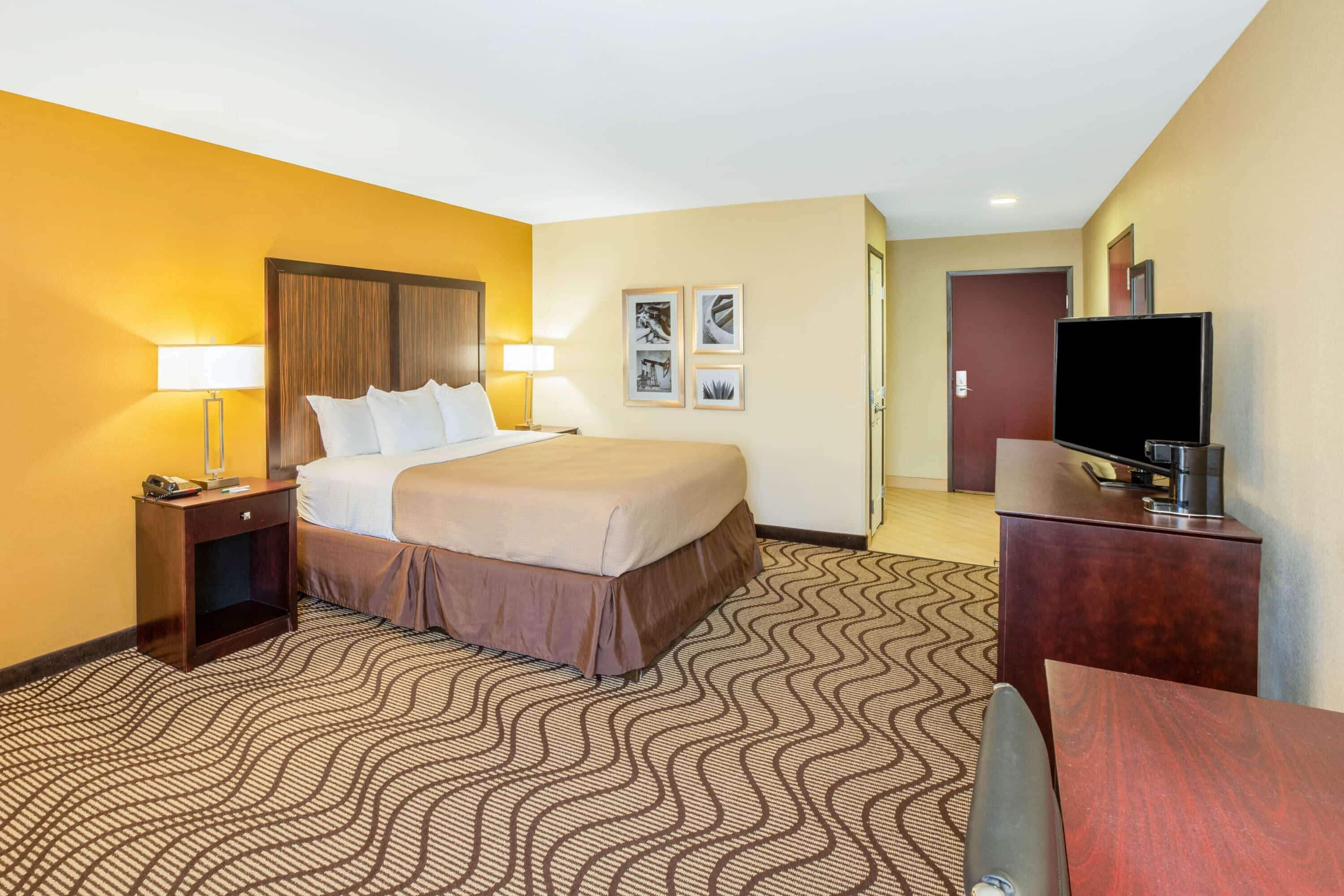 A hotel room with a bed, bedside tables, a TV, and a patterned carpet.