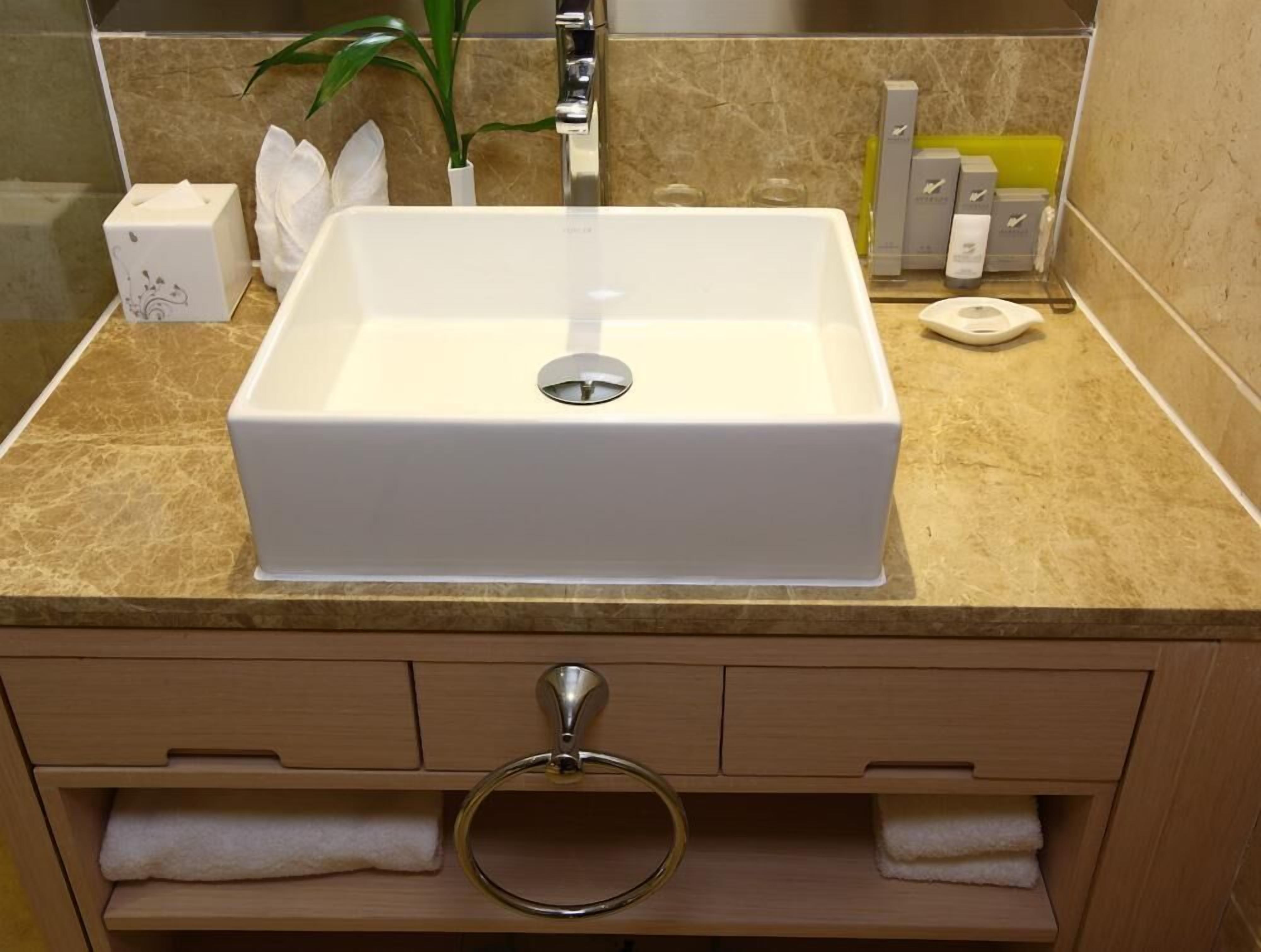 deluxe suite | bathroom sink