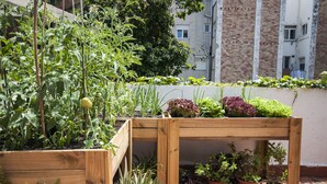 Un jardín en la azotea con jardineras elevadas y plantas en macetas.