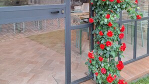A glass door with a red rose climbing up it, a stone building in the background, and a brick patio outside. - Anna Boccali Resort (Corciano)
