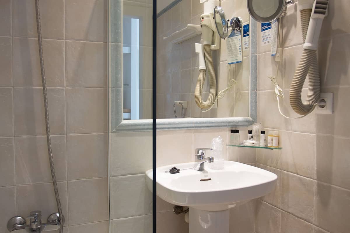 combined shower/bathtub, free toiletries, hair dryer, bidet