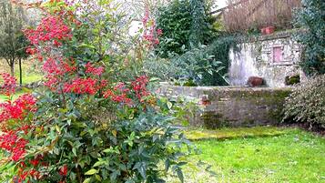 Un jardin avec un mur de pierres, une petite cascade et des baies rouges sur un arbuste.
