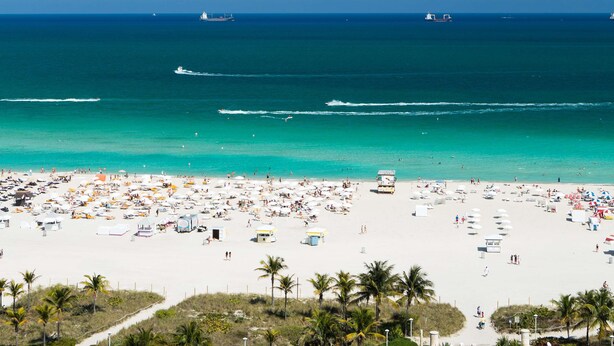 Een strand met helder uitzicht op de oceaan, zandstrand en palmbomen.