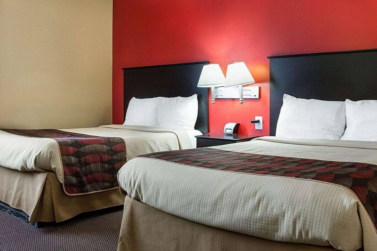 A hotel room with two beds, each with a patterned bedspread, a red accent wall, and a nightstand with a lamp.