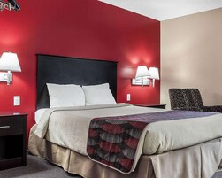 标准房, 1 张大床, 无烟房 | 办公桌、熨斗/熨衣板、免费 WiFi、床单