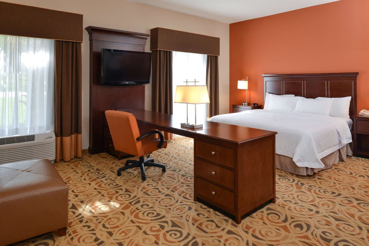 A hotel room with a bed, desk, chair, TV, and a patterned carpet.