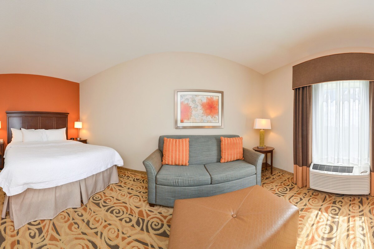 Una habitación de hotel con una cama, un sofá, un televisor, un escritorio con una computadora y un calentador.