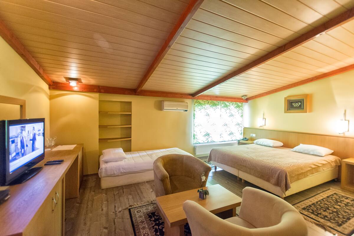 A room with a bed, a sofa, a TV, and a desk.