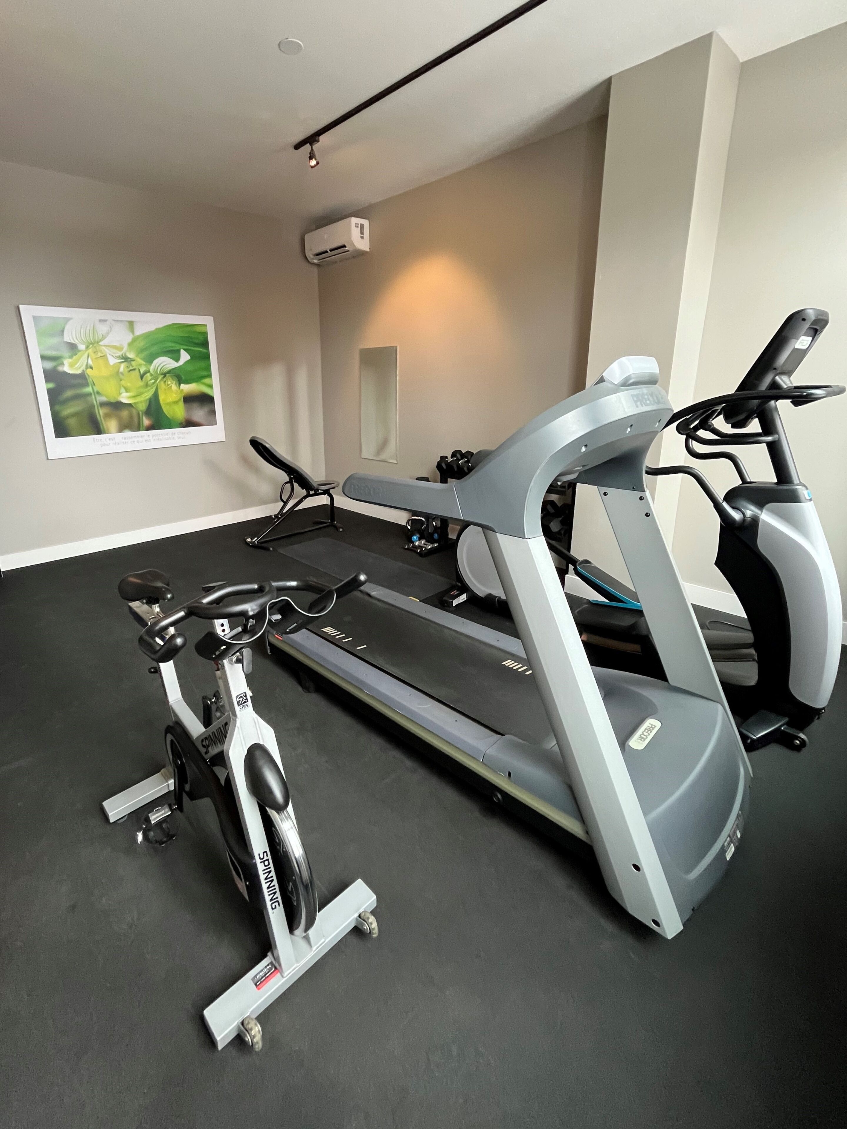 Un gimnasio con una bicicleta estática y una cinta de correr.