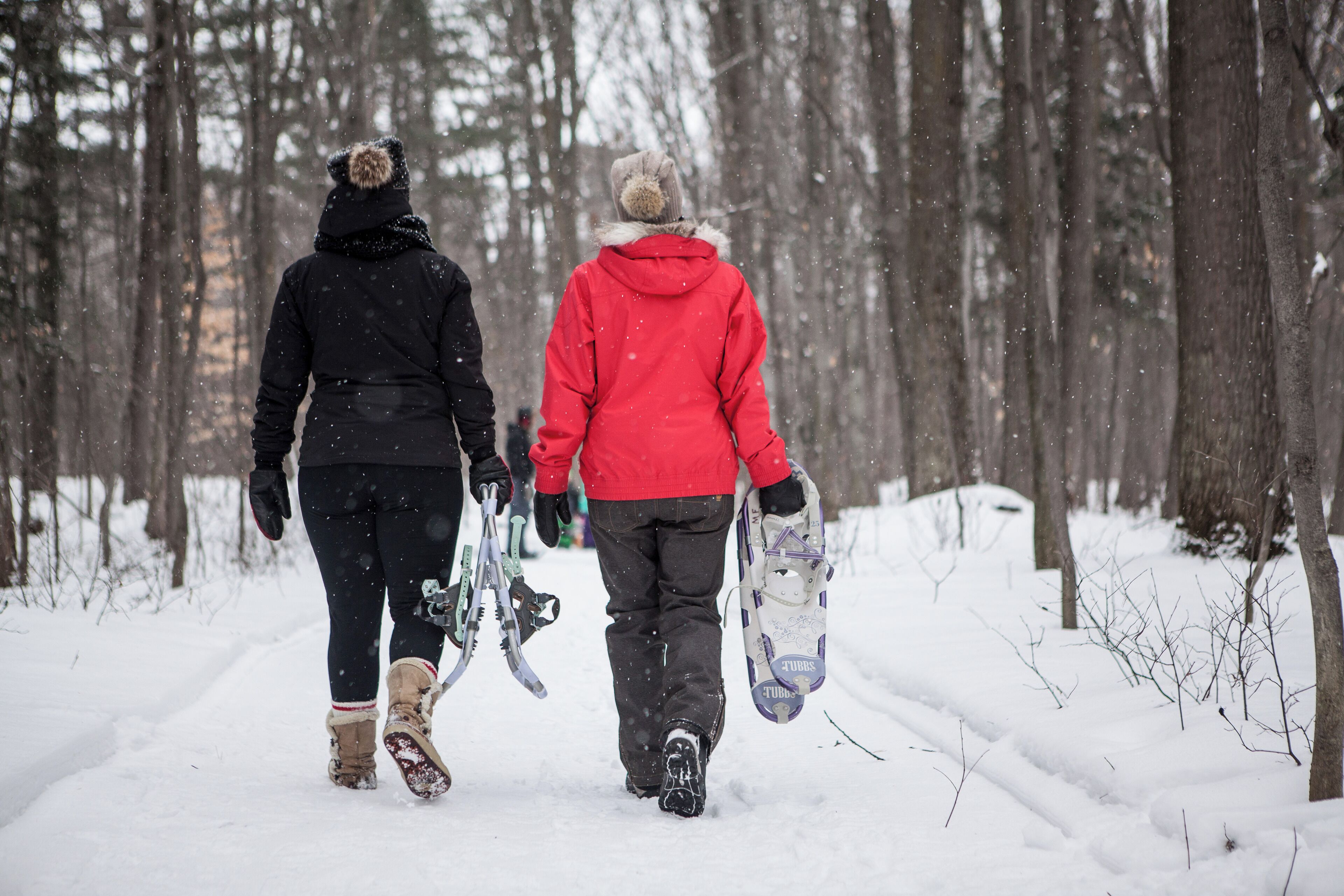 Two people walking in a snowy forest, each carrying a snowboard.