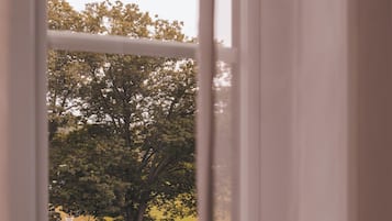 Une vue à travers une fenêtre, avec un arbre et un élément décoratif circulaire dans un jardin.
