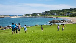 Une zone herbeuse offrant une vue sur la mer et sur des maisons en arrière-plan.