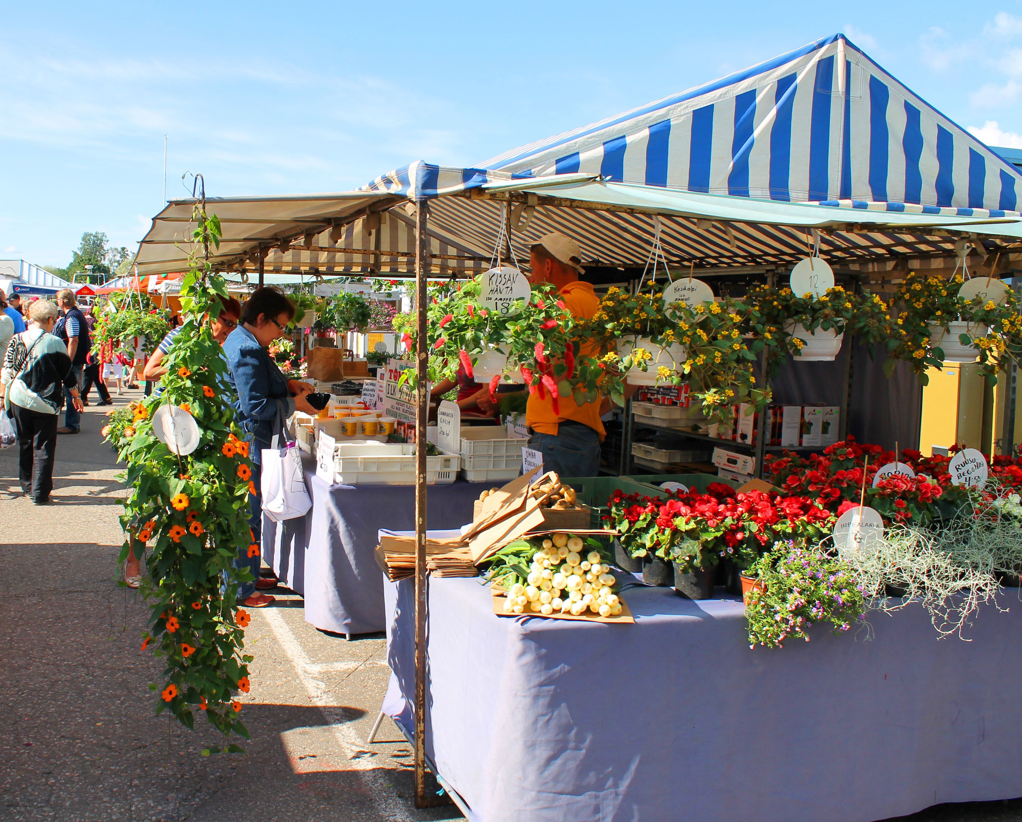 A market stall with various plants and flowers for sale.