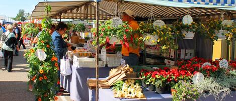 A market stall with various plants and flowers for sale.