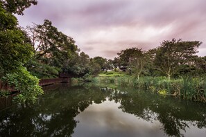 Lake