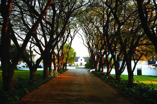 Kievits Kroon Gauteng Wine Estate