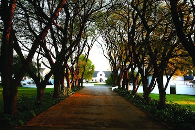 Kievits Kroon Gauteng Wine Estate