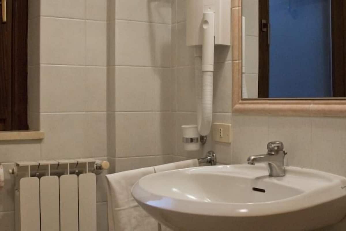 shower, free toiletries, hair dryer, bidet