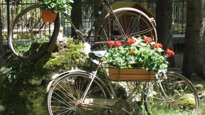 A bicycle with a wooden basket carrying red flowers, parked in a natural setting with trees and a fence in the background. - LH Hotel Paradiso (Pescasseroli)