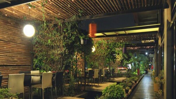 Un área de comedor al aire libre con mesas y sillas, rodeada de follaje y plantas.