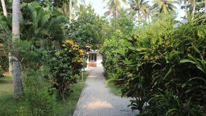 A pathway leading to a building surrounded by dense tropical vegetation. - Magnolia Guest House (Varkala)