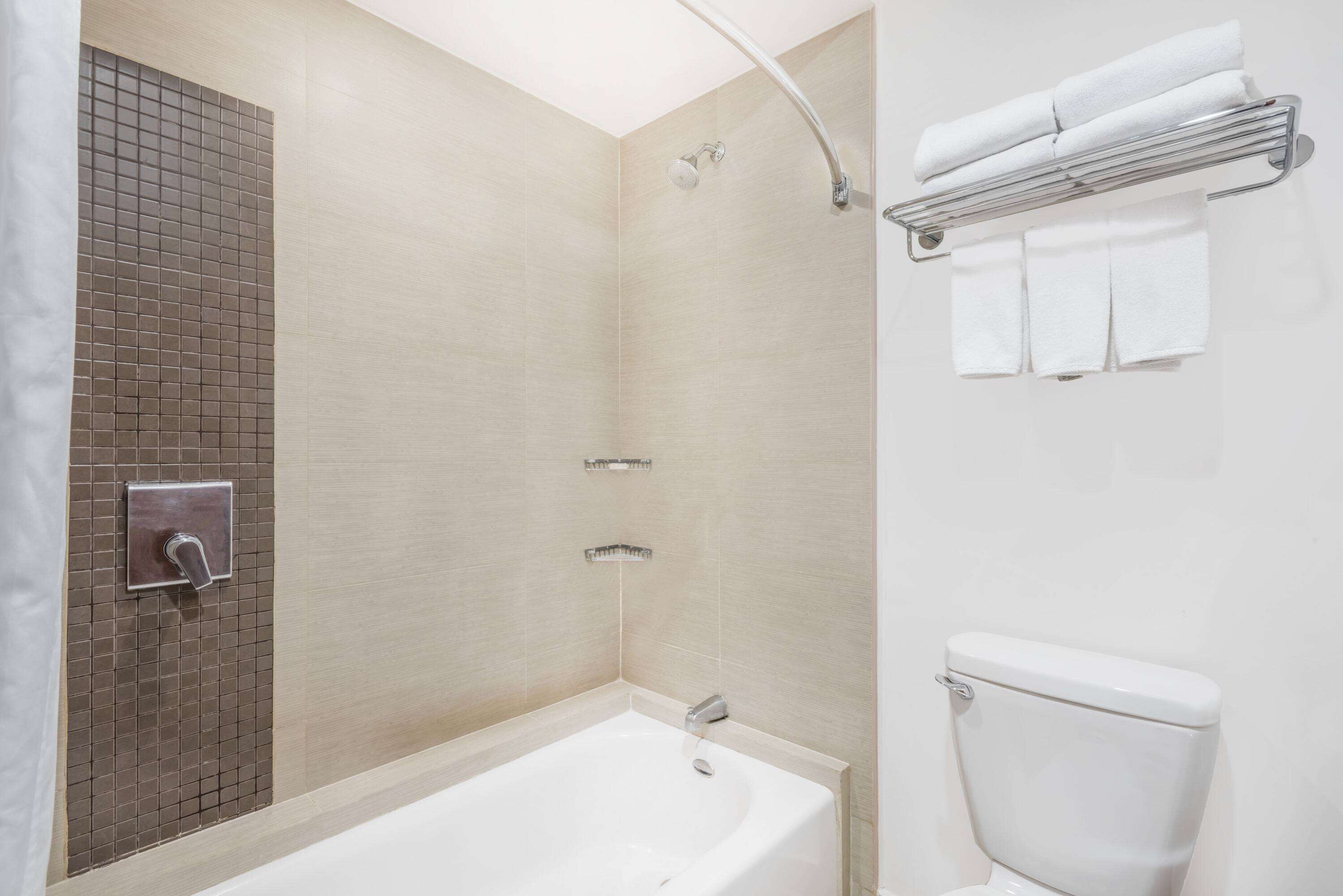 Un baño con bañera, ducha e inodoro.