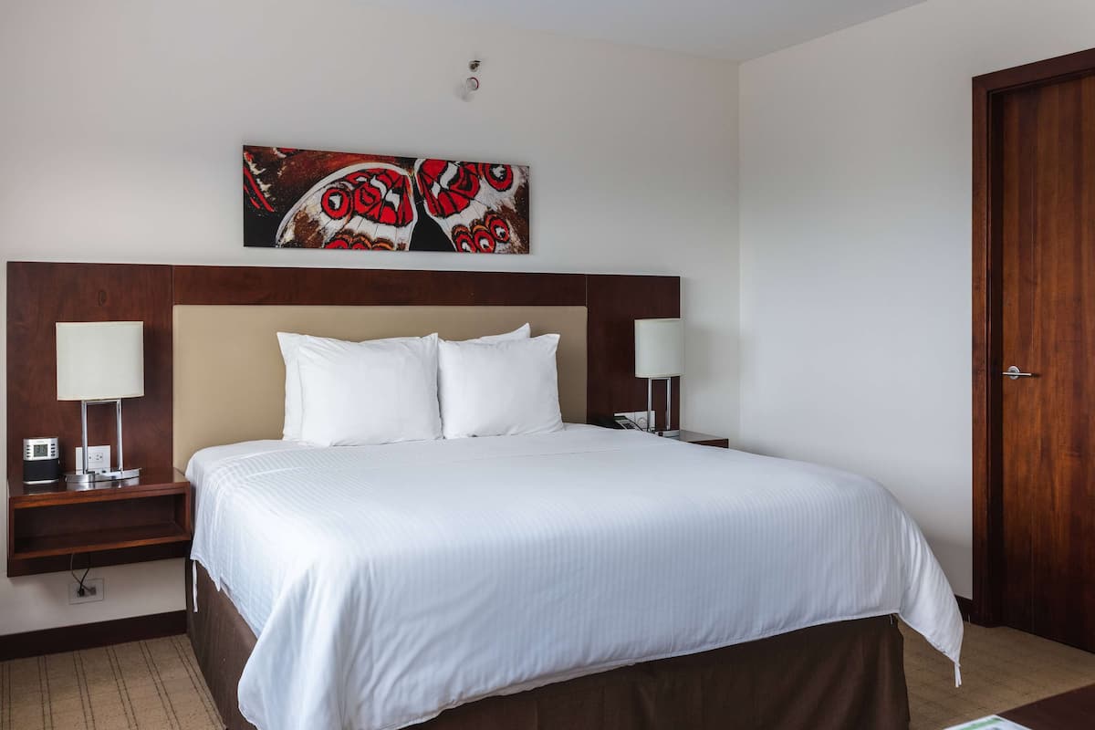 Standaard kamer, 1 kingsize bed, niet-roken | 1 slaapkamer, luxe beddengoed, pillowtop-bedden, een minibar