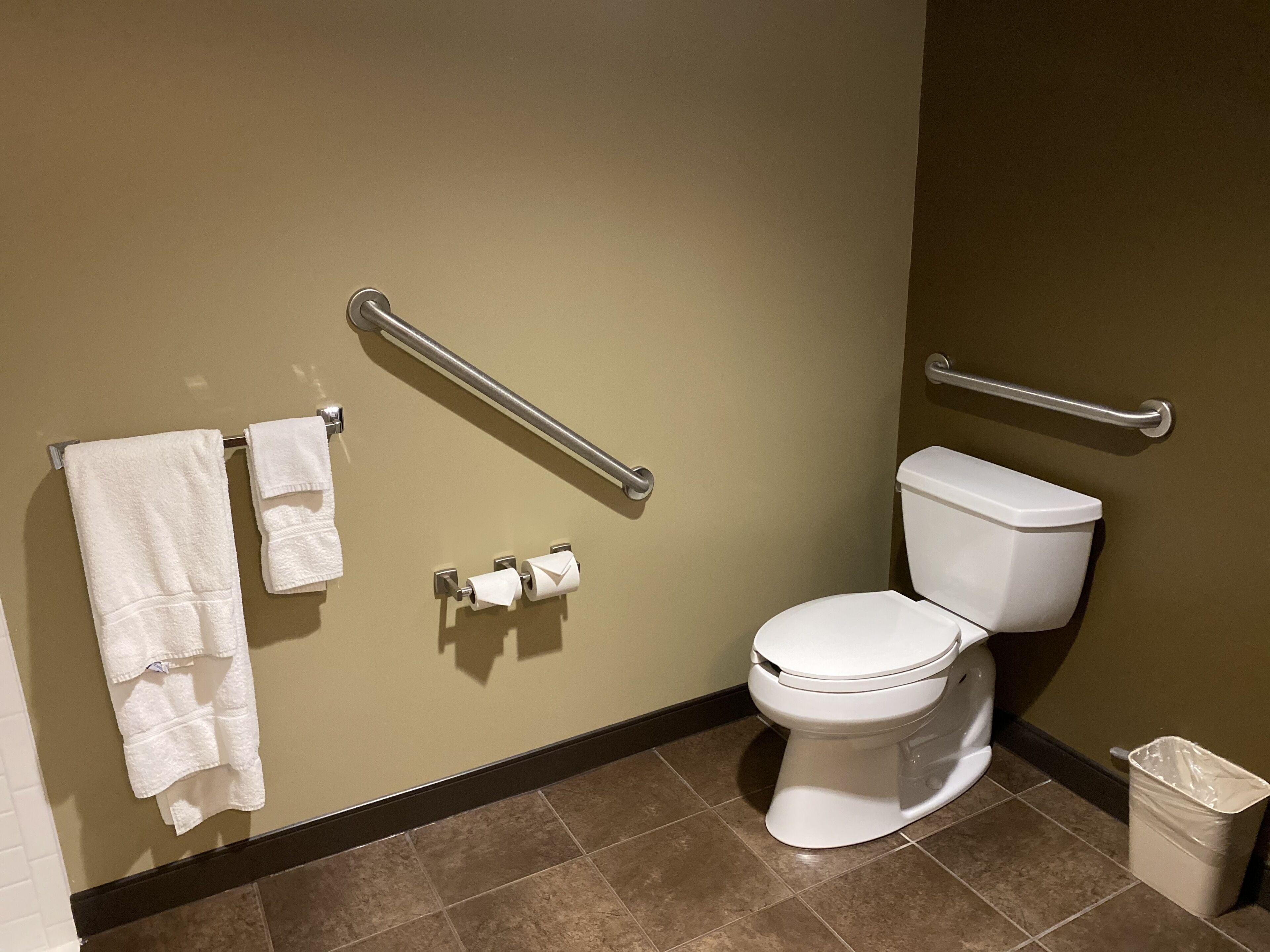A bathroom with a white toilet, two handrails, a trash bin, and two towels on a rack.