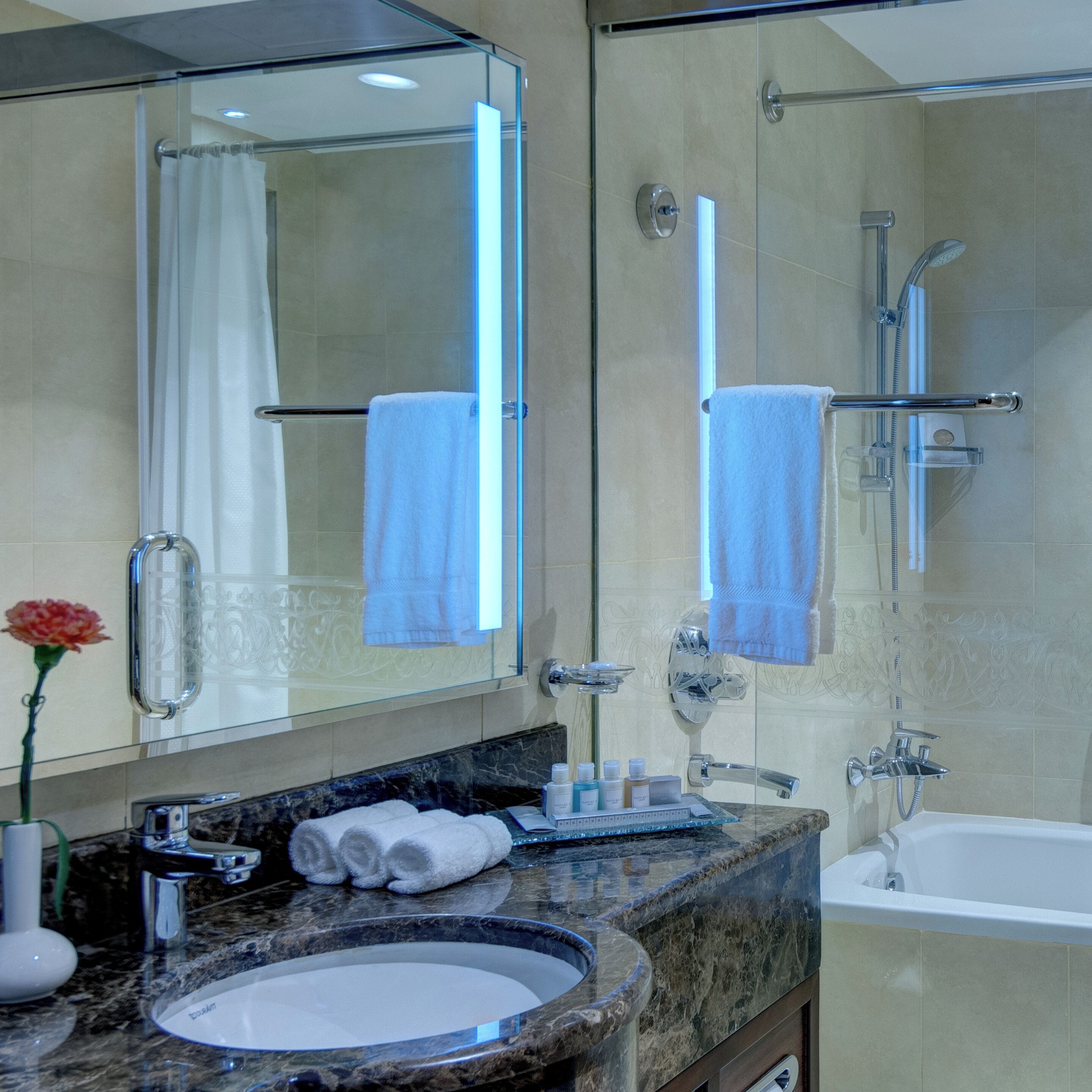 combined shower/bathtub, jetted bath, free toiletries, hair dryer