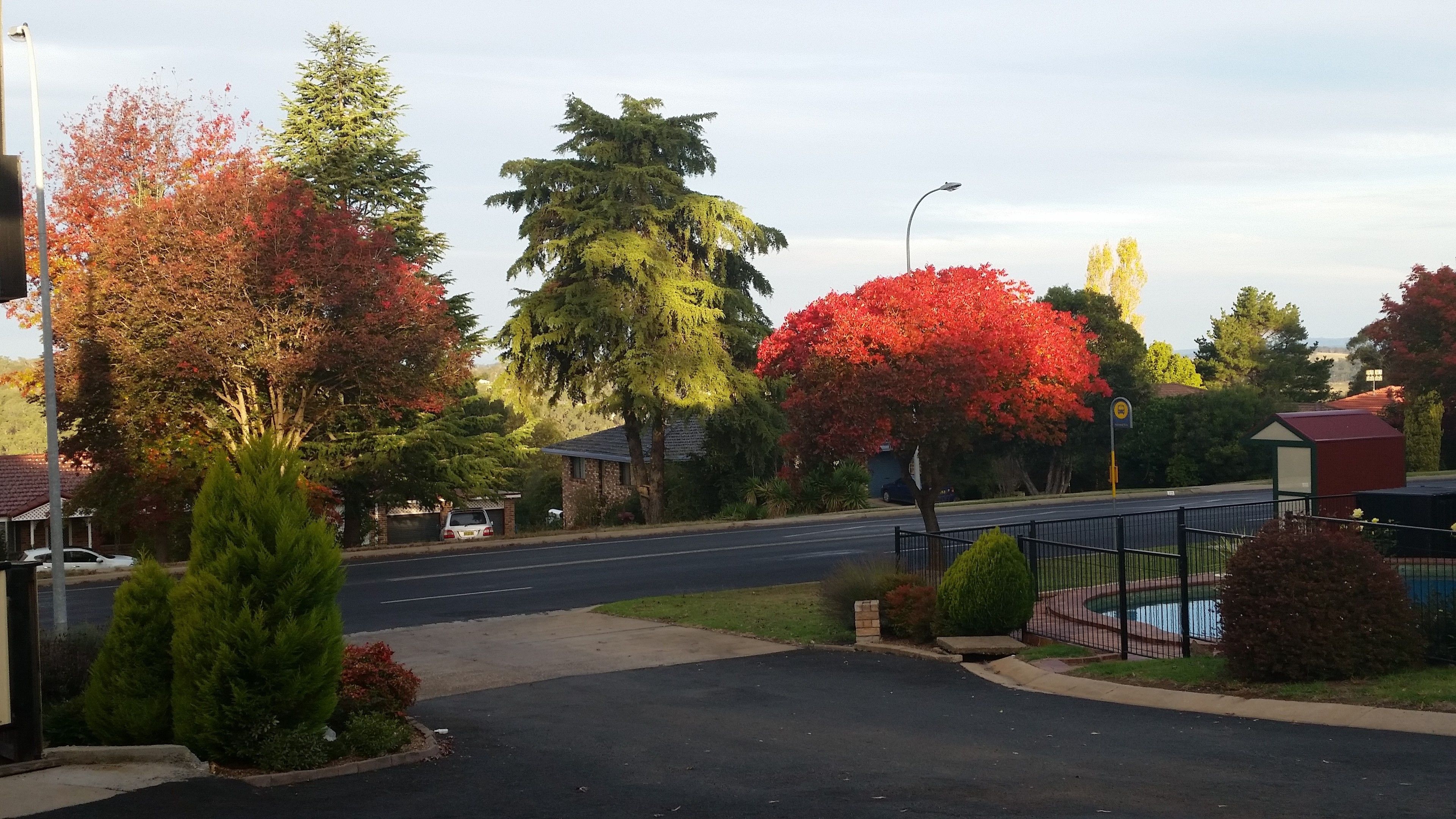 Una calle residencial con casas, una vía y árboles con follaje otoñal.