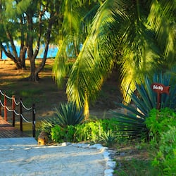 Private beach, white sand, sun-loungers, beach umbrellas