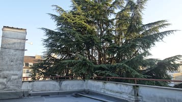 Chi tiết ngoại thất