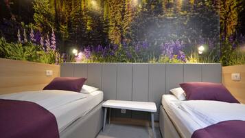 Classic Twin Room, Private Bathroom