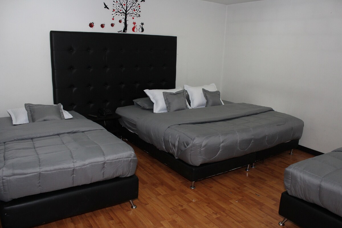 Een kamer met twee bedden, een zwart hoofdbord en een houten vloer.