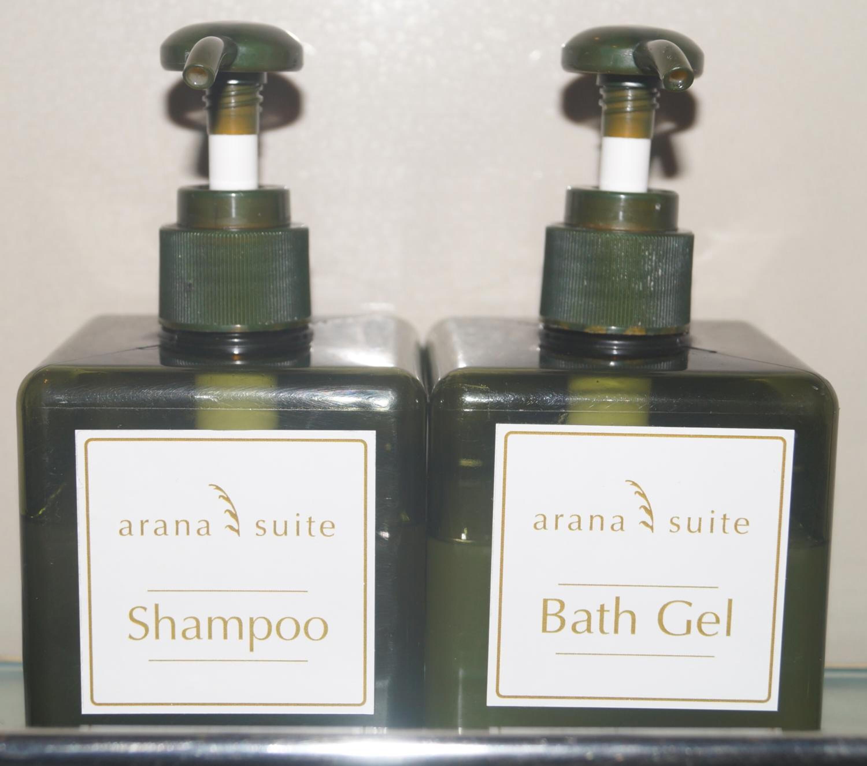 shower, rainfall showerhead, free toiletries, hair dryer