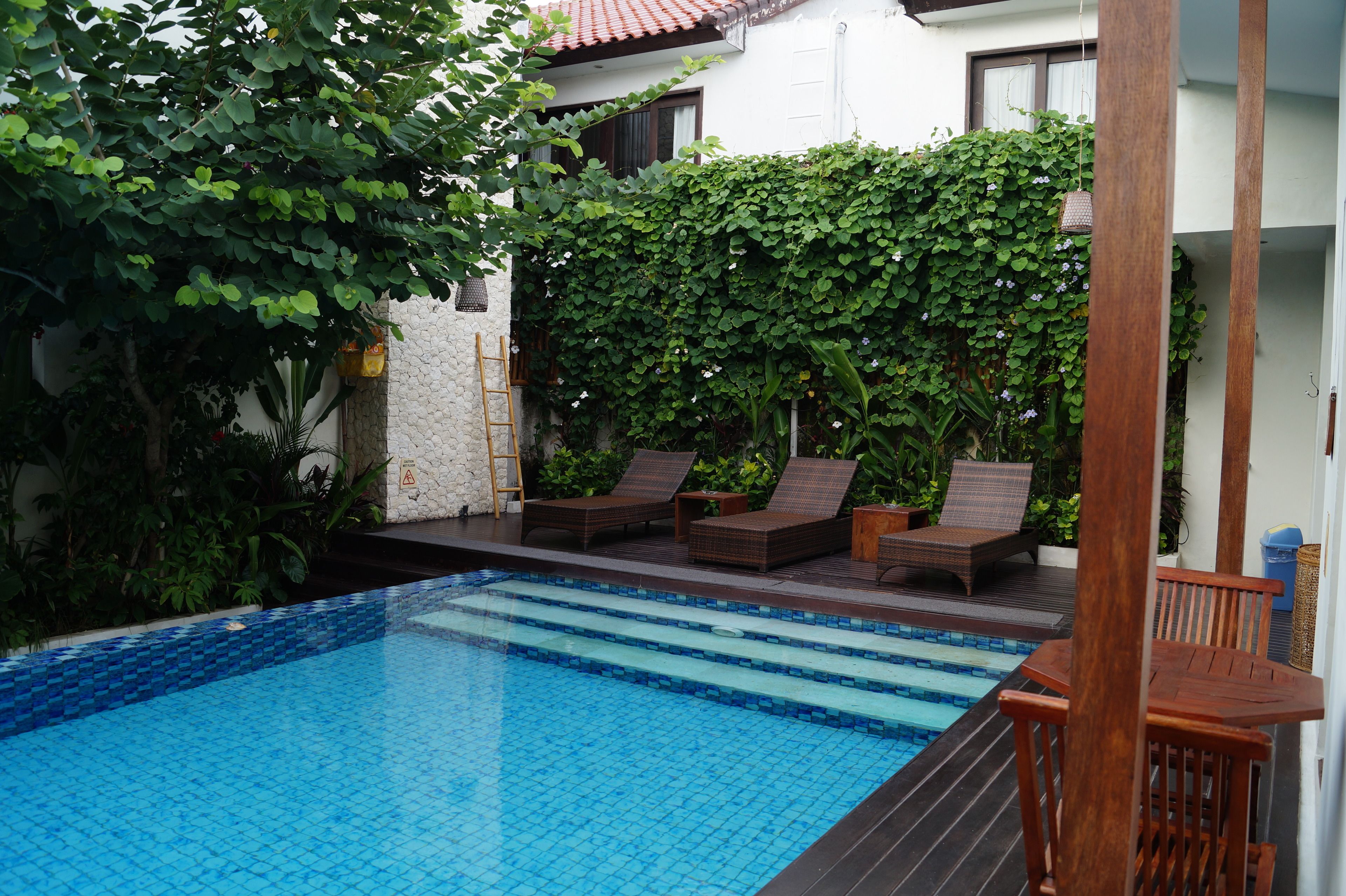 outdoor pool, pool loungers