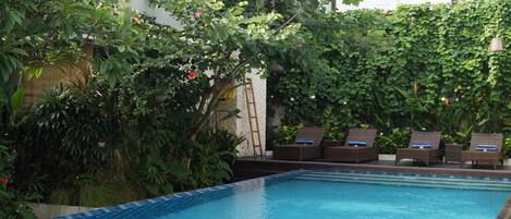 Outdoor pool, sun loungers